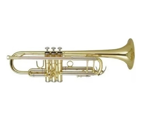 Trompeta Clave Bb Open Music Wisemann Dtr-250