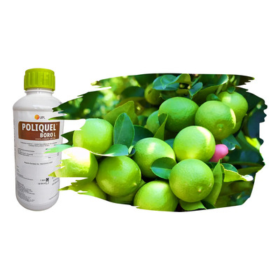 Abono Para Que Tu Arbol No Tire Flores Ni Frutos 1l Citricos | Envío gratis