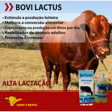 Bovi Lactus 500ml - Lactação Vaca Estimula Produção Leiteira