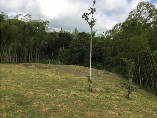 Venta Amplio Lote De 10036mts Via Altagracia Pereira - Imagen 2