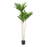 Planta Artificial Decoración Palo De Agua 160cm