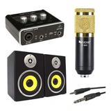 Combo Kit De Grabacion Placa + Microfono + Monitores