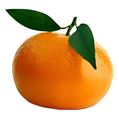 Mandarina Monica Arbolitos-frutales Con Semilla Enano