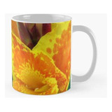 Taza X4 Flor Naranja Y Amarilla Calidad Premium