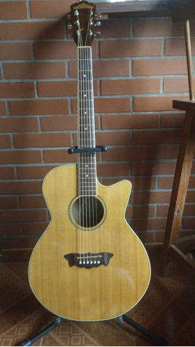 Guitarra Electroacústica Washburn Ea16n