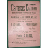 Afiche Criollo Carreras Cuadreras Ugarte Cachafaz Caballos