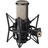 Akg Perception 220 Micrófono De Estudio Profesional