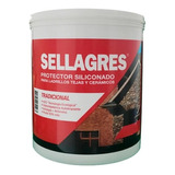 Protector Para Ladrillos Siliconado Sellagres Petrilac 1l