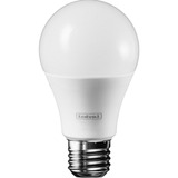 Lampada Led A60 15w 6500k Br E27 1a Linha Intral Cor Da Luz Branco-frio 110v/220v