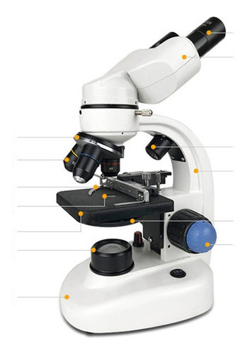 Microscopio De Gran Angular Binocular 1000x Hd Alta