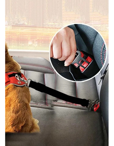 Correa Cinturón De Seguridad De Auto Para Mascotas