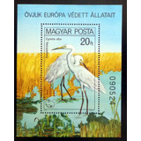 Hungría Aves, Bloque Sc. 2665 Egretta Alba 1980 Mint L9388