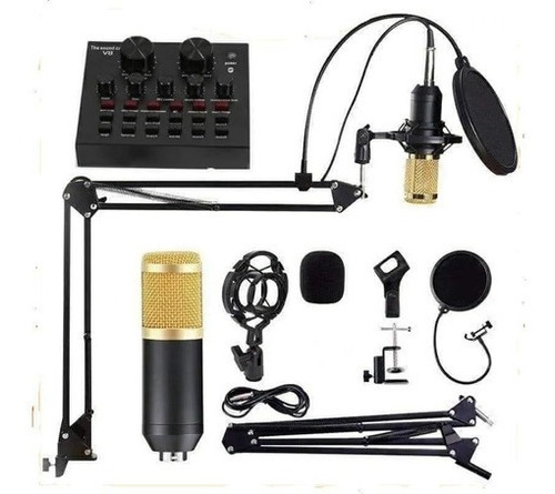 Kit Completo Microfone Bm800 Mini Placa Mesa V8 Live Sound