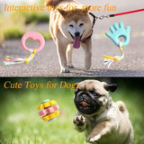 Juguetes Interactivos Para Perros Pequeños (20 Unidades)
