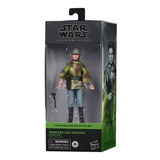 Star Wars The Black Series Princess Leia Organa Endor