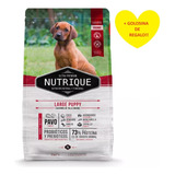 Nutrique Perro Large Puppy Cachorro Grande 15k + Regalo!