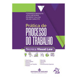 Prática De Processo Do Trabalho - Técnica Visual Law, De Rgs. Selma Carloto; Fernanda Massote., Vol. 1. Editora Mizuno, Capa Mole, Edição 1 Em Português, 2023