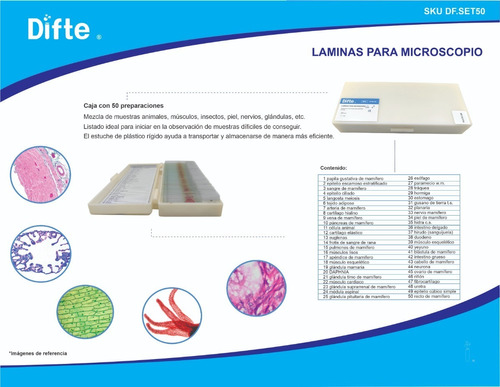 Kit De Preparaciones Para Microscopio 50 Unidades