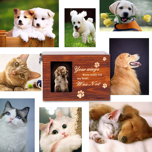 Bztsgj Pet Urns For Dogs Or Cats Ashes Personalized Photo Fr