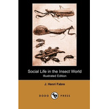 Social Life In The Insect World (illustrated Edition) (dodo 