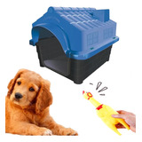 Kit Casa P/ Cachorro Azul Médio N3 + Mordedor Galinha 16cm