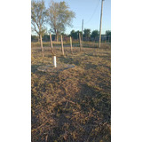 Terreno Fraccion  En Venta En Centro Agricola El Pato, Berazategui, G.b.a. Zona Sur