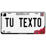 Placas Auto Metalicas Personalizadas Morelos