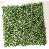 Follaje Artificial Muro Verde 3m2 Boxwood Blanco Panel 25x25