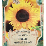 Pack Semillas Girasol Amarillo Gigante X 50 Semillas