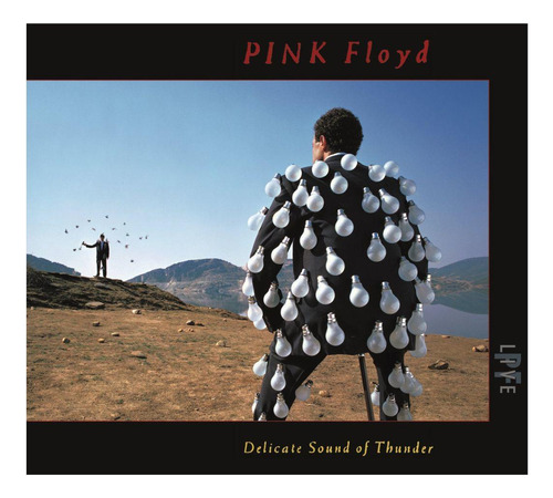Pink Floyd - Delicate Sound Of Thunder(2cd) Cd