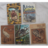 2 Libros, 3 Revistas, Kuinda, Tigrero, Caza Y Tiro, Caceria