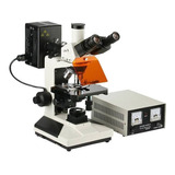 Microscopio Trinocular Epifluorescencia L-2001b-yl, Op Plana