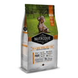 Nutrique Toy & Mini Young Adult Dog - 7,5 Kg - Mr Dog 