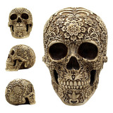 Calavera Cabeza Calavera Flor Halloween Con Bares Fiesta