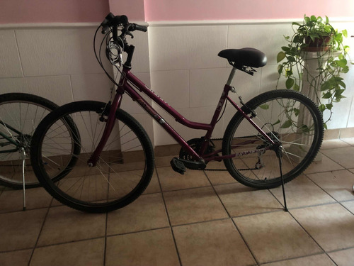 Bicicleta Rodado 26 Alejo Con Cambios