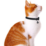 Faleela Soft Microfiber Leather Cat Collar,breakaway Collar