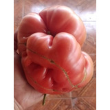 Semillas Organicas De Tomate Rosado 