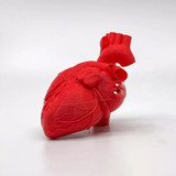 Corazón - Impresión 3d - Anatomía - Stock Disponible