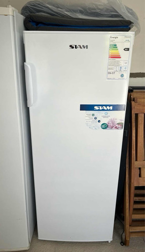 Freezer Vertical Siam (154 Lts)