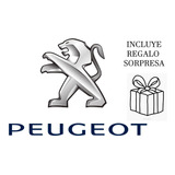 Actualización Software Peugeot Citroen Smeg Iv2 O Smeg+upg