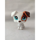 Perro Perro Jack Russell Littlest Pet Shop  Hasbro