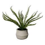 Helecho Con Macetero - Planta Artificial Decorativa