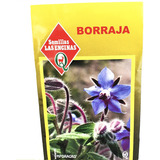 Semillas Certificadas Flor Borraja Ornamental