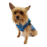 Impermeable Raincoat Turquesa Mascota Perro Talla 2 Pet Pals