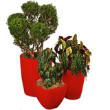 Kit 3 Vaso Polietileno Variados Planta Decoração Jardim Cd40