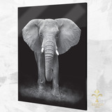 Quadro Decorativo Elefante Preto E Branco Cor Preto Branco E Cinza, Impresso Em Canvas Cor Da Armação Palha