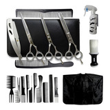 Kit Completo 3 Tesouras Cabelo Profissionais Pentes Capa Hd Cor Silver