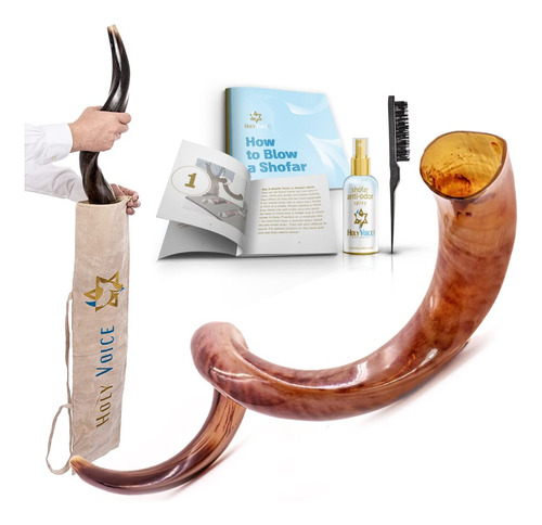 Shofar Kosher Yemení Kudu De Israel Totalmente Pulido Hech.