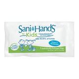 10 Toallas Desinfectantes Sani Hands