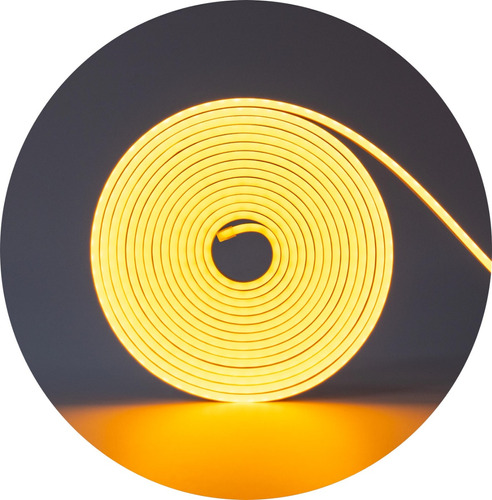 Mangueira Fita Led Neon Flexivel Iluminação 5m 12v + Fonte Luz Amarelo Tensão De Operação 110/220/12v